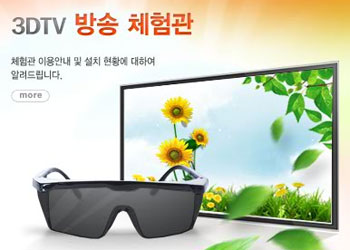 Korea 3D TV Safety Guidelines