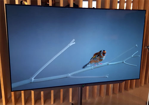 loewe 4k tv