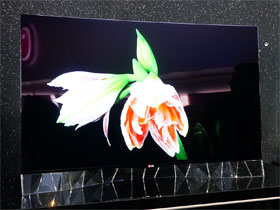 LG Swarovski OLED type 1