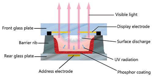 Plasma cell structure